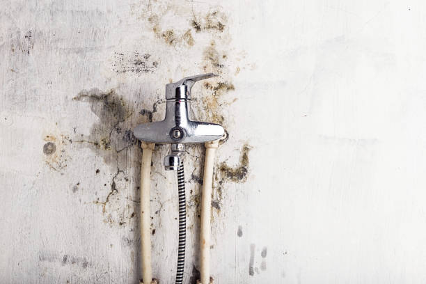 Best Mold Testing  in Spooner, WI