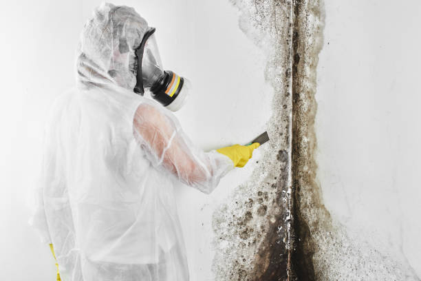 Best Mold Testing  in Spooner, WI