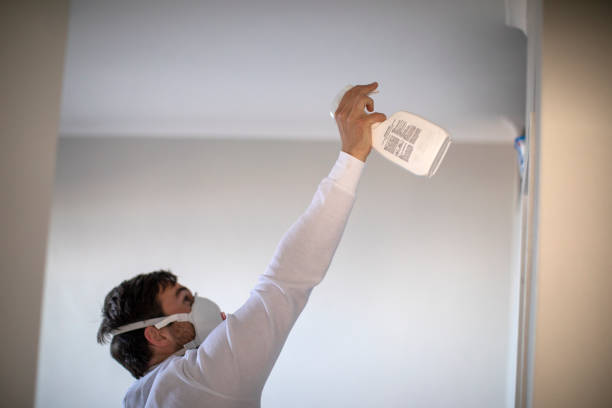 Best Certified Mold Removal  in Spooner, WI
