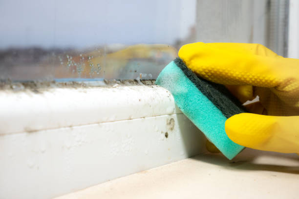 Best Mold Cleaning Services  in Spooner, WI
