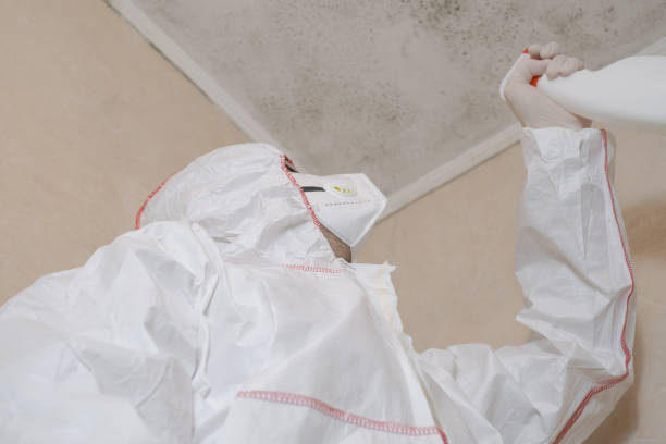 Best Crawl Space Mold Removal  in Spooner, WI