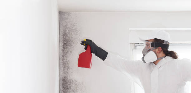 Best Professional Mold Removal  in Spooner, WI