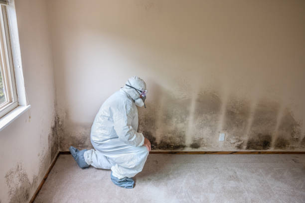 Best Residential Mold Removal  in Spooner, WI