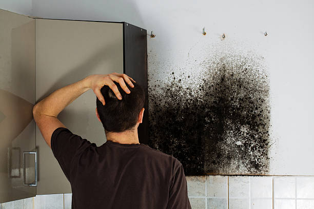 Best Toxic Mold Removal  in Spooner, WI